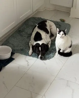 Blanca