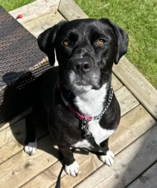 Lucy