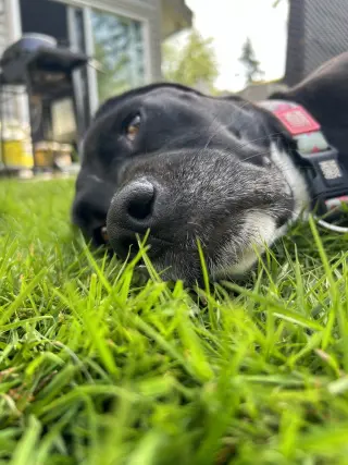 Lucy