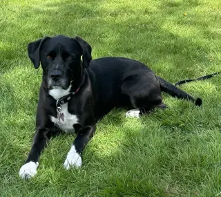 Lucy