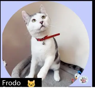 Sam & Frodo