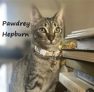 Pawdrey Hepburn #spunky-n-sweet