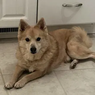 Eddie