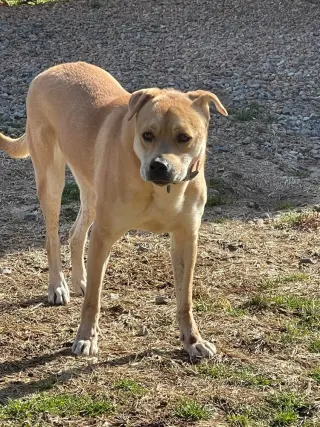 Missy (GA)