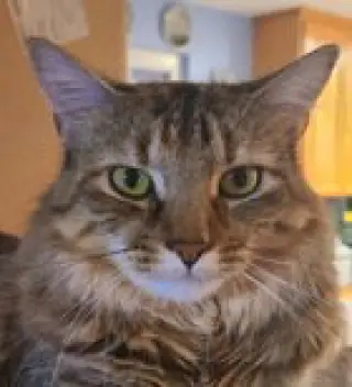 Ellie 07-4320