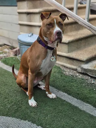 Winifred