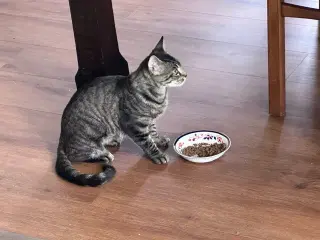 Lucy