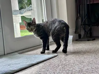Lucy