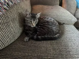 Lucy