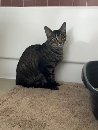 Lucy