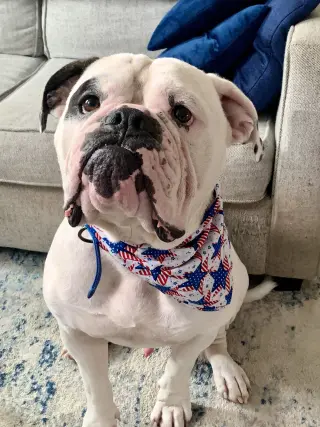 RUFIO (COURTESY POST)