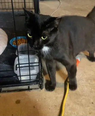 Santa Maria AKA Sammy