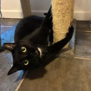 Santa Maria AKA Sammy