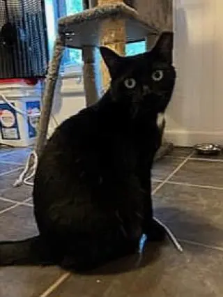 Santa Maria AKA Sammy