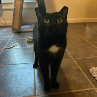 Santa Maria AKA Sammy
