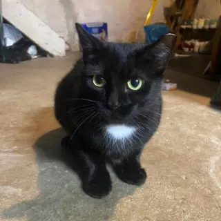 Santa Maria AKA Sammy