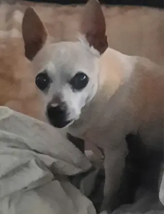 WALTER