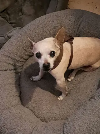 WALTER