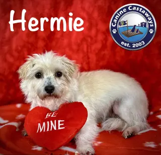 Hermie