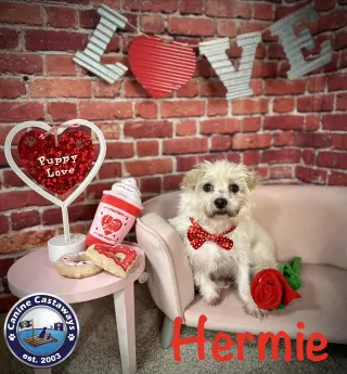 Hermie
