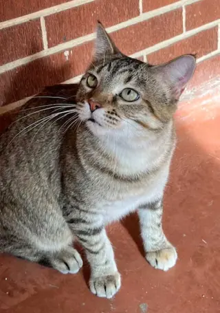 MAMA MARIBEL