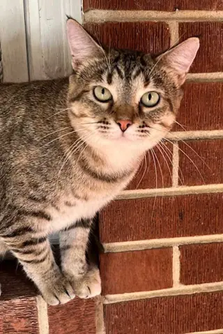 MAMA MARIBEL