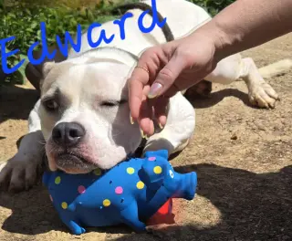 Edward