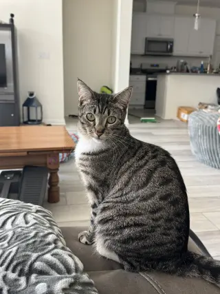 Eloise