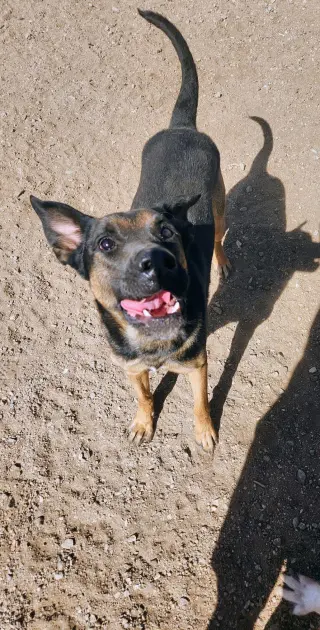 Buster