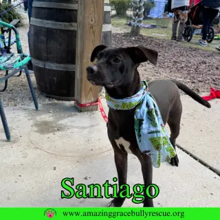 Santiago