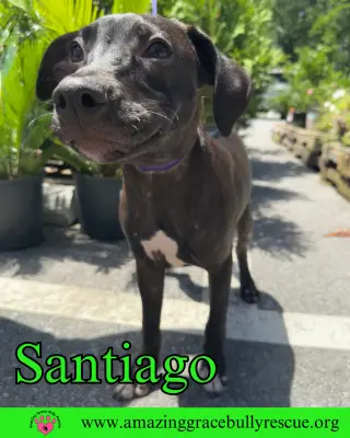 Santiago
