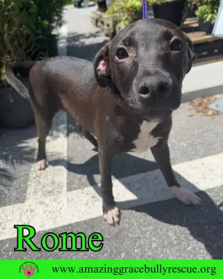 Rome