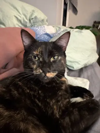 Amelia