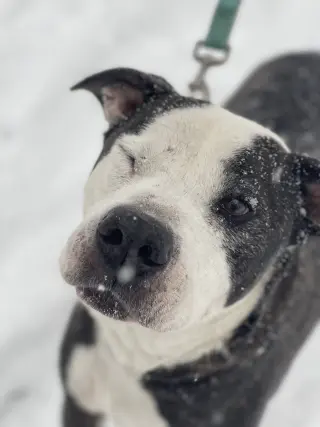 Paw Paw Walter