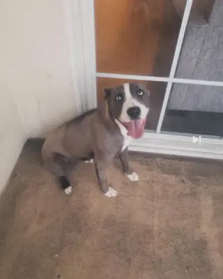 Kira