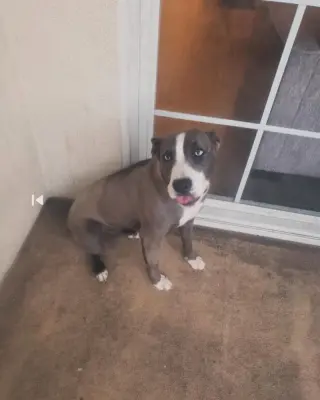 Kira