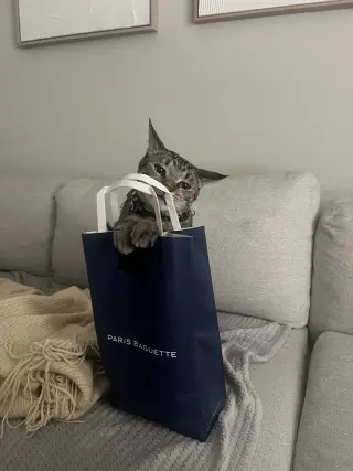Pepper