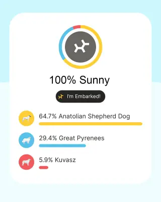 Sunny