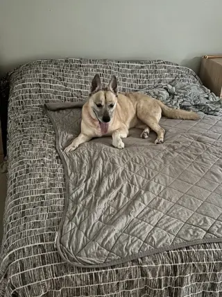 Dakota