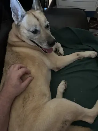 Dakota