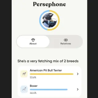 Persephone