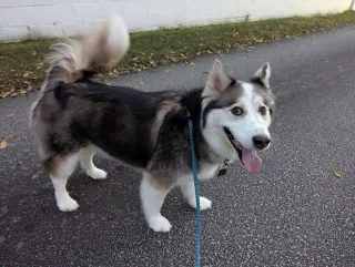 Luka