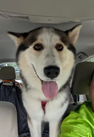 Luka
