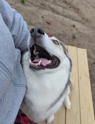 Luka