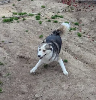 Luka