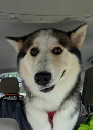 Luka