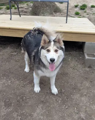 Luka