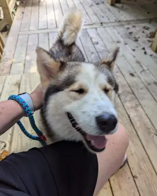 Luka