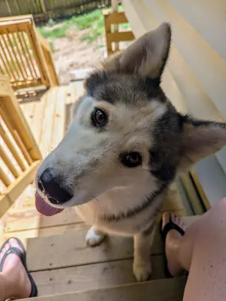 Luka