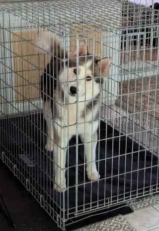 Luka